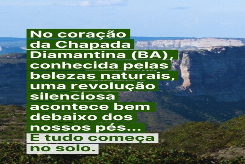 COMEÇA NO SOLO