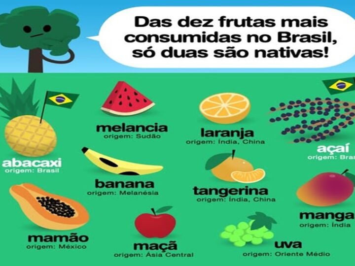 DEZ FRUTAS