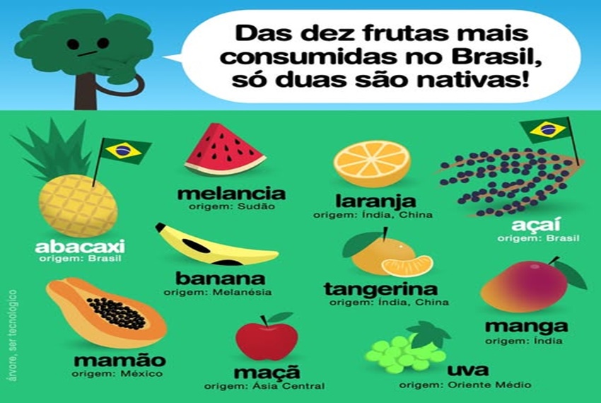 DEZ FRUTAS