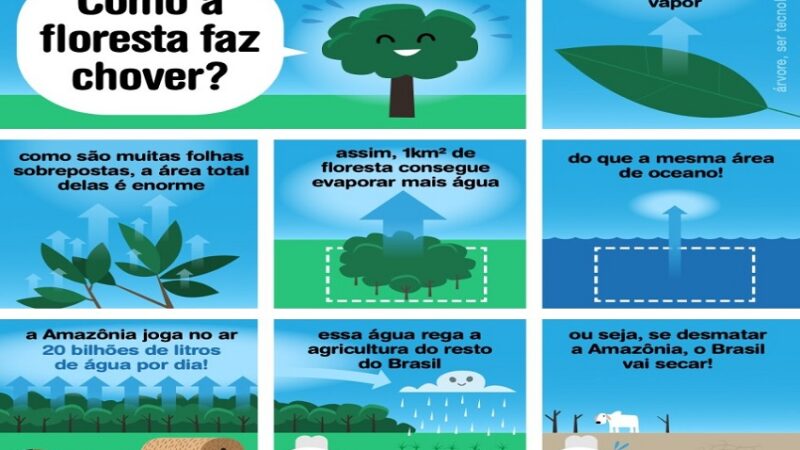 FLORESTA FAZ: A Amazônia é uma verdadeira usina que cria as chuvas do Brasil.