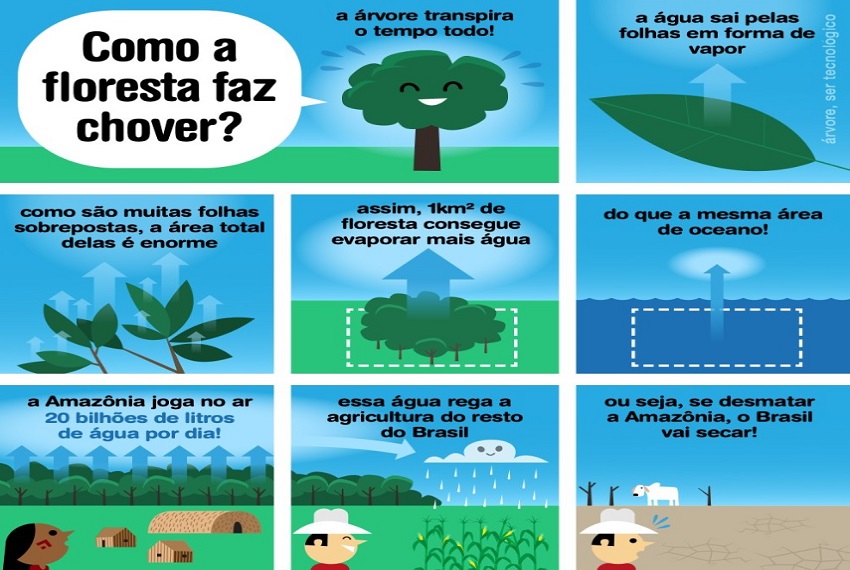 FLORESTA FAZ: A Amazônia é uma verdadeira usina que cria as chuvas do Brasil.
