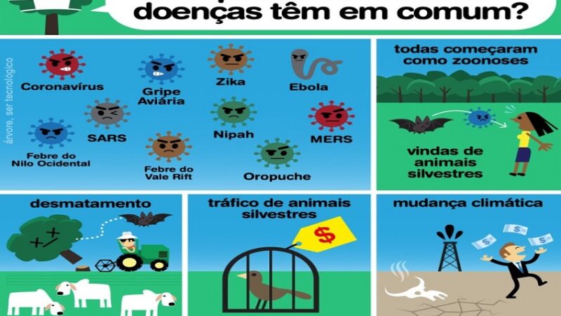 DOENÇAS: O que conecta doenças como coronavírus, ebola, zika, gripe aviária, SARS, MERS, Nipah, febre do Nilo Ocidental, febre do Vale do Rift e oropouche?
