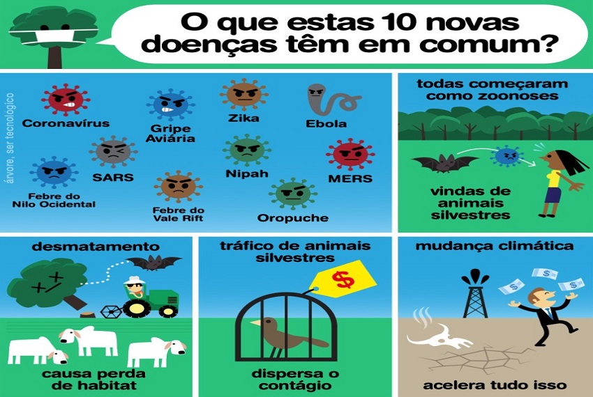 DOENÇAS: O que conecta doenças como coronavírus, ebola, zika, gripe aviária, SARS, MERS, Nipah, febre do Nilo Ocidental, febre do Vale do Rift e oropouche?