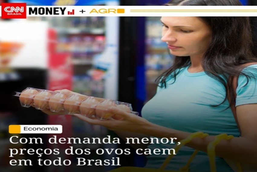 OVOS: QUEDA OCORRE APÓS ALTA SUPERIOR A 20%