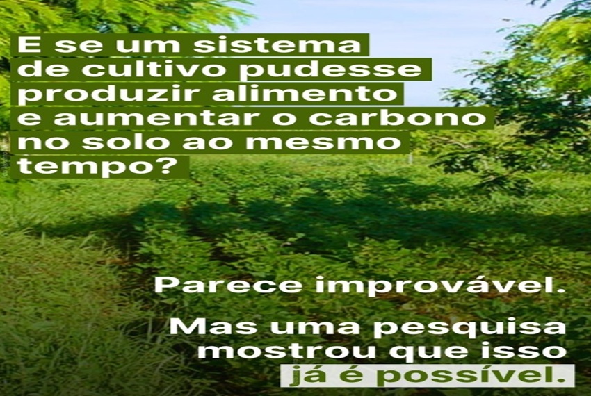 CARBONO