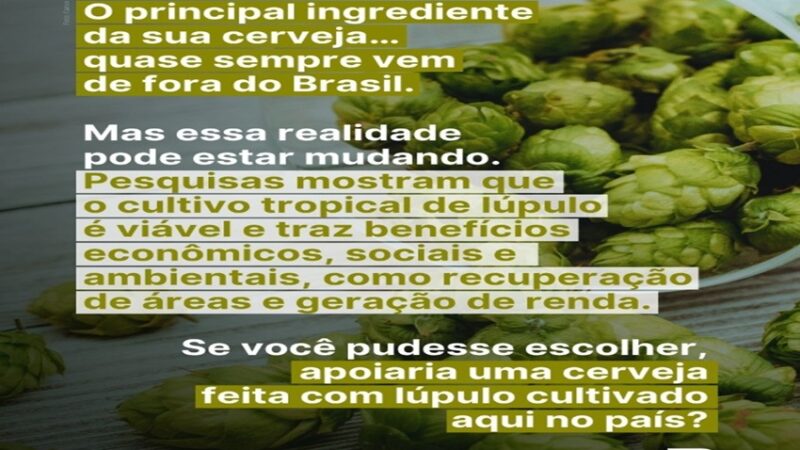 CERVEJA