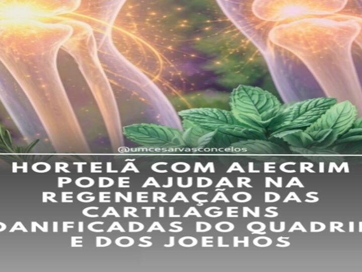 CHAS: Chá de Hortelã e Alecrim e/ou Pomada Natural ð¿ð§´