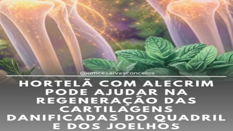 CHAS: Chá de Hortelã e Alecrim e/ou Pomada Natural ð¿ð§´