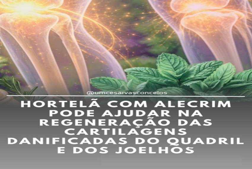 CHAS: Chá de Hortelã e Alecrim e/ou Pomada Natural ð¿ð§´