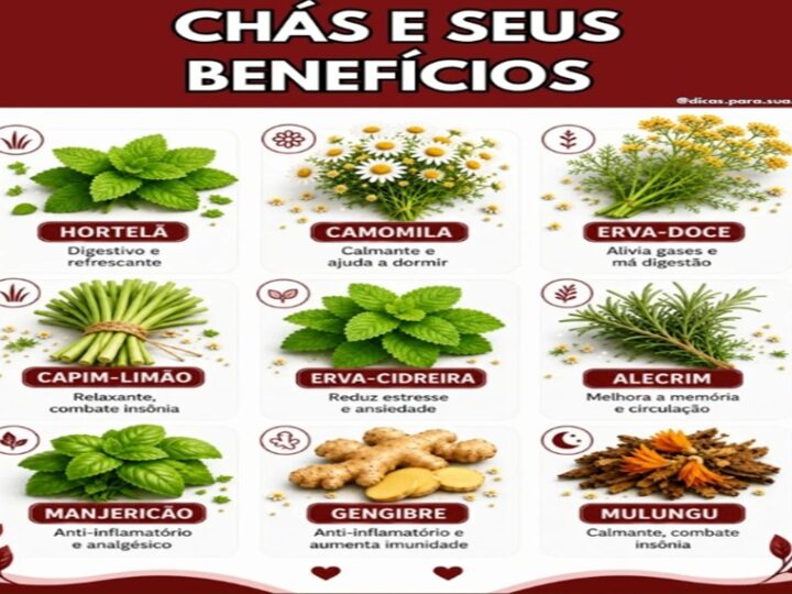 CHÁS: Nem todo chá serve apenas para aquecer… ðµ✨