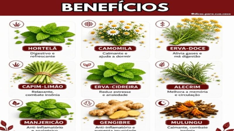 CHÁS: Nem todo chá serve apenas para aquecer… ðµ✨