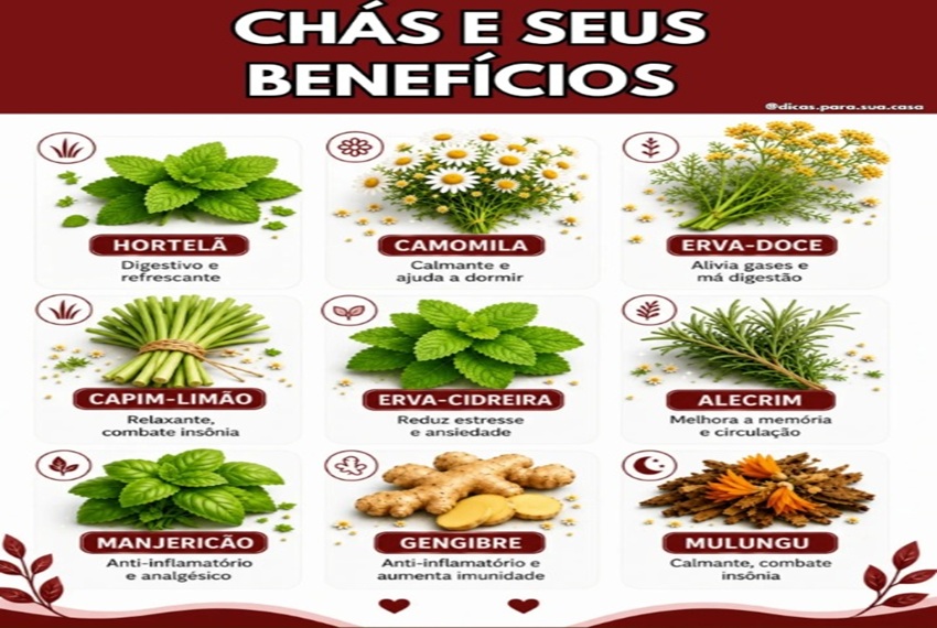 CHÁS: Nem todo chá serve apenas para aquecer… ðµ✨
