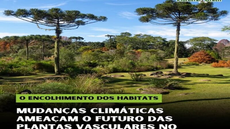 ENCOLHIMENTO