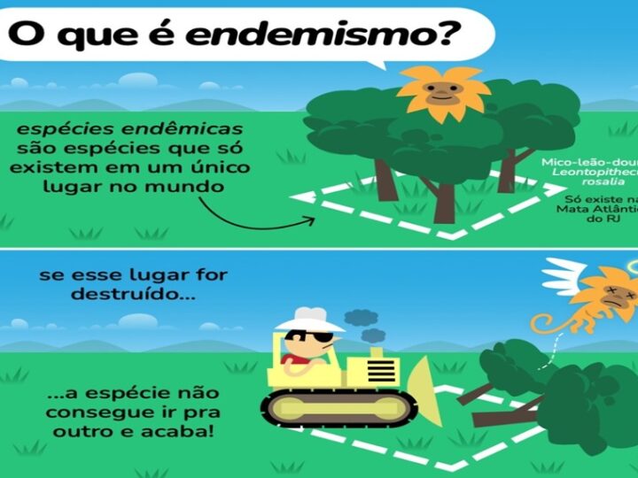 ENDEMISMO