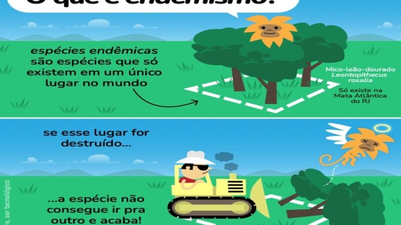 ENDEMISMO