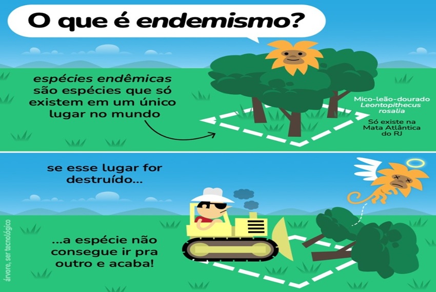 ENDEMISMO