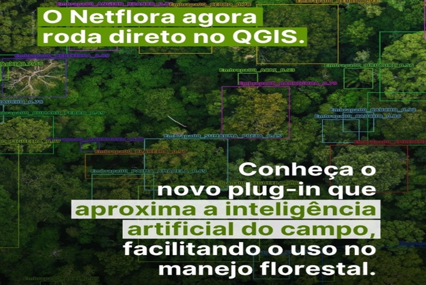 Netflora