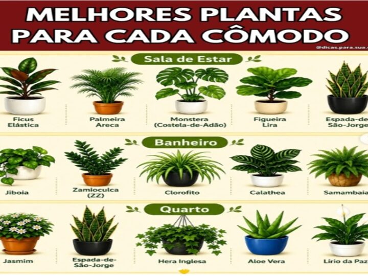 PLANTAS: Transforme sua casa em um ambiente mais leve, bonito e cheio de vida com as plantas certas em cada espaço.