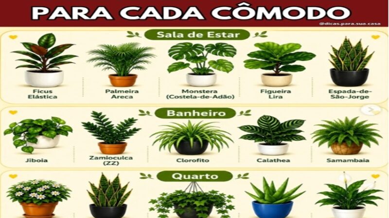 PLANTAS: Transforme sua casa em um ambiente mais leve, bonito e cheio de vida com as plantas certas em cada espaço.