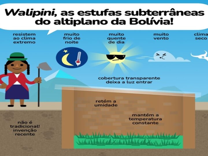 WALIPINI