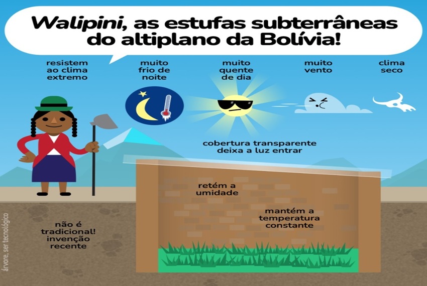 WALIPINI