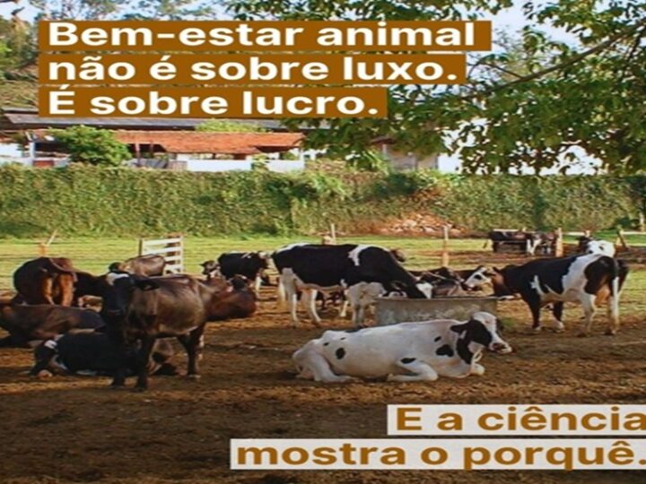 BEM-ESTAR