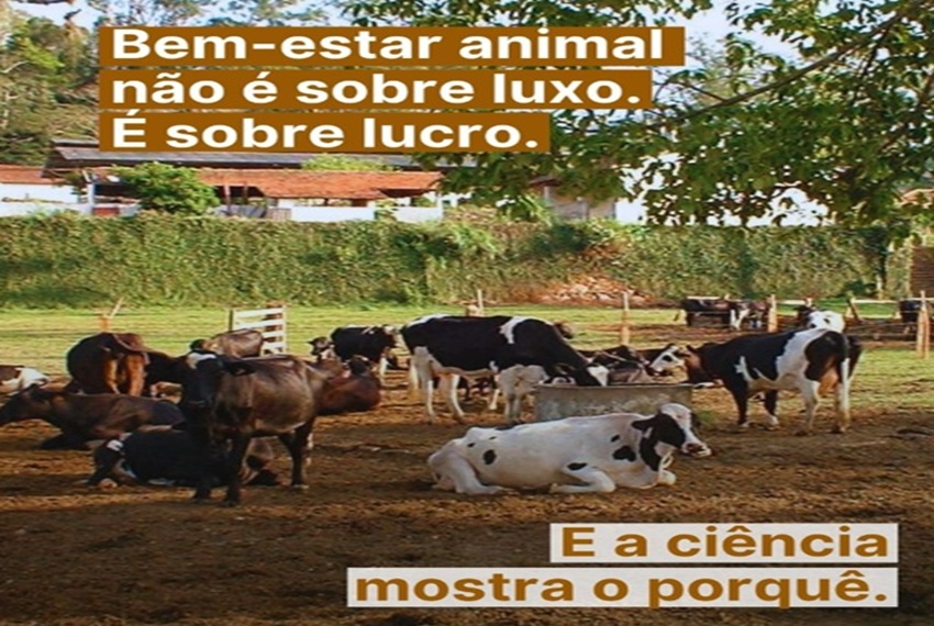 BEM-ESTAR