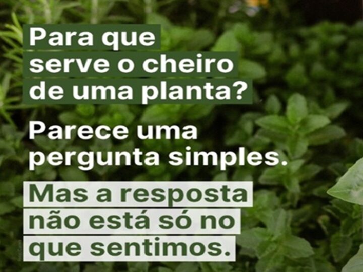 CHEIRO