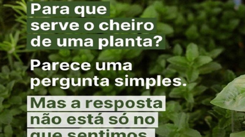 CHEIRO