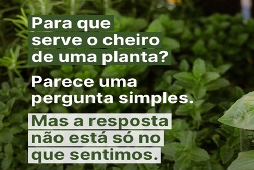 CHEIRO