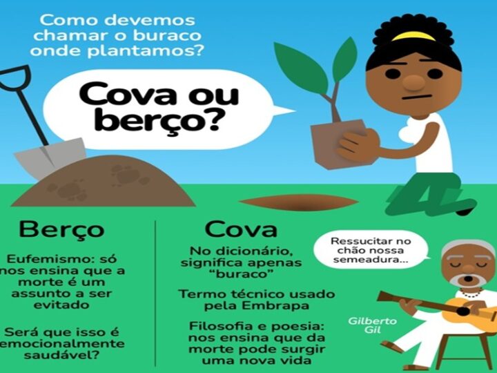 COMO DEVEMOS?