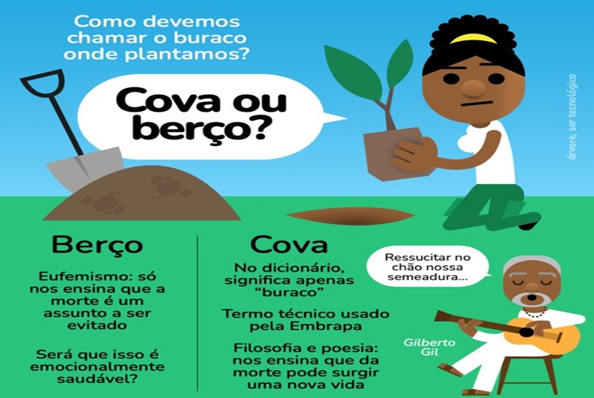 COMO DEVEMOS?
