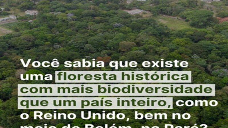 FLORESTA HISTÓRICA