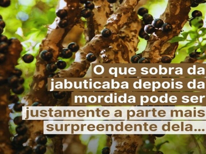 JABUTICABA