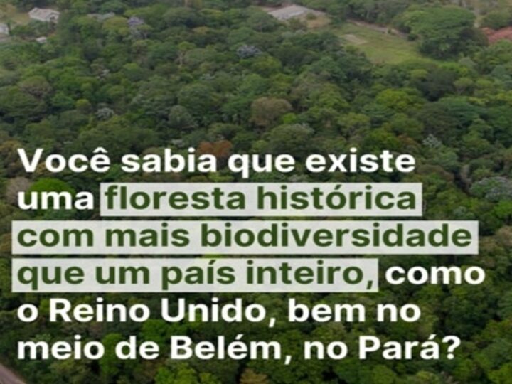 FLORESTA HISTÓRICA