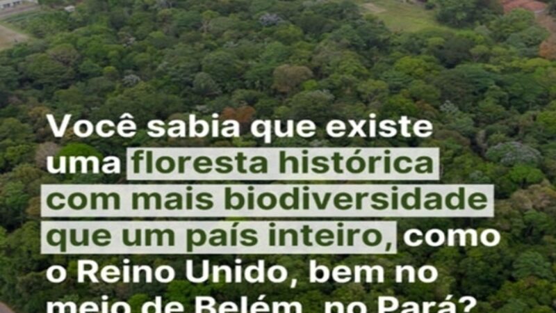 FLORESTA HISTÓRICA