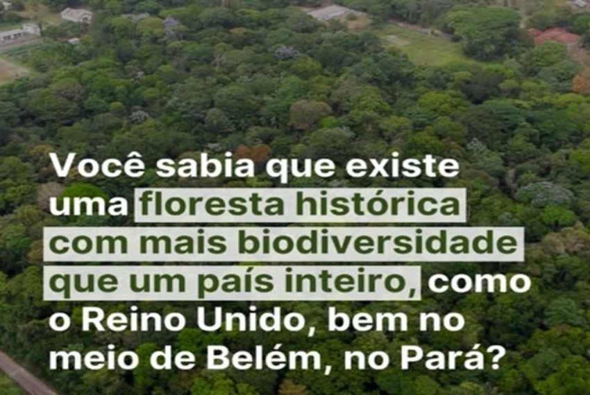 FLORESTA HISTÓRICA