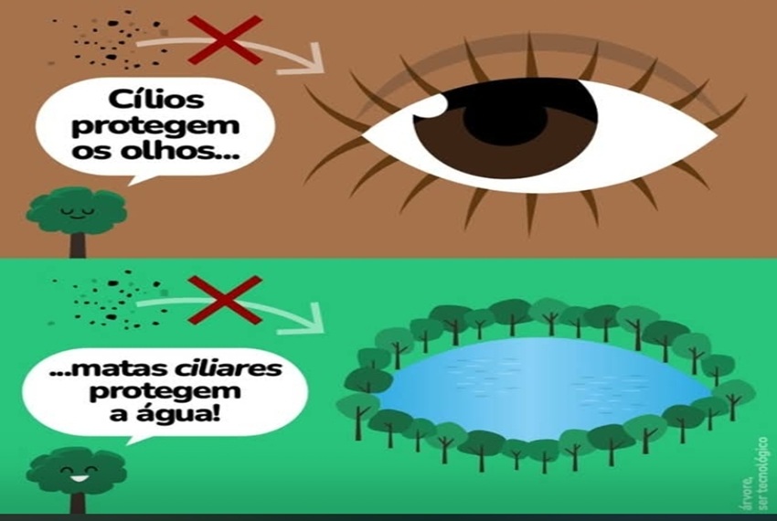 ESTUDANTES COM ALTAS HABILIDADES OU SUPERDOTAÇÃO