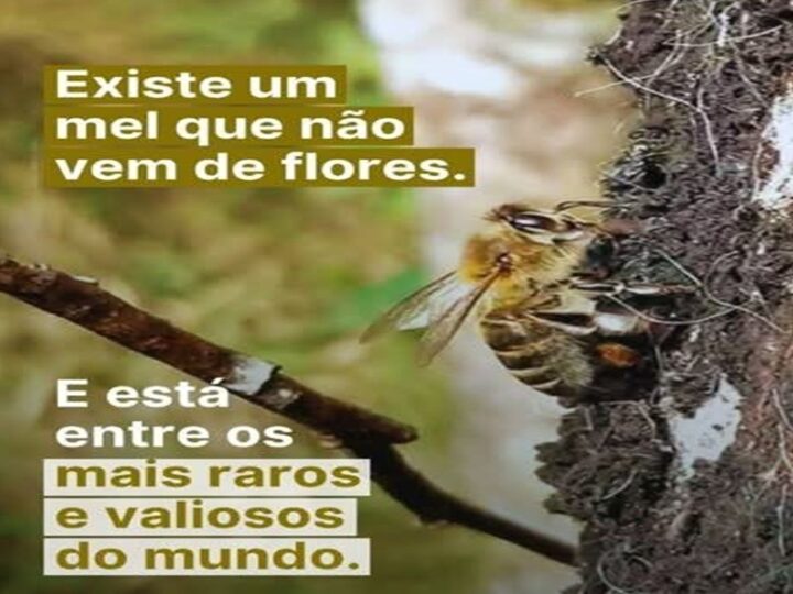 MEL SEM FLORES?