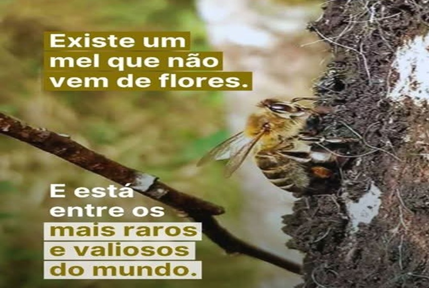 MEL SEM FLORES?