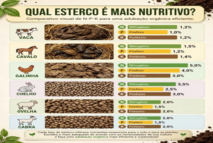 ESTERCO