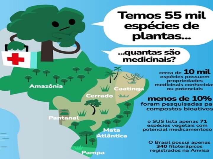 ESPÉCIES DE PLANTAS
