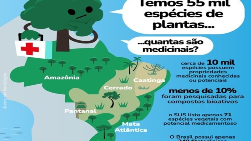 ESPÉCIES DE PLANTAS