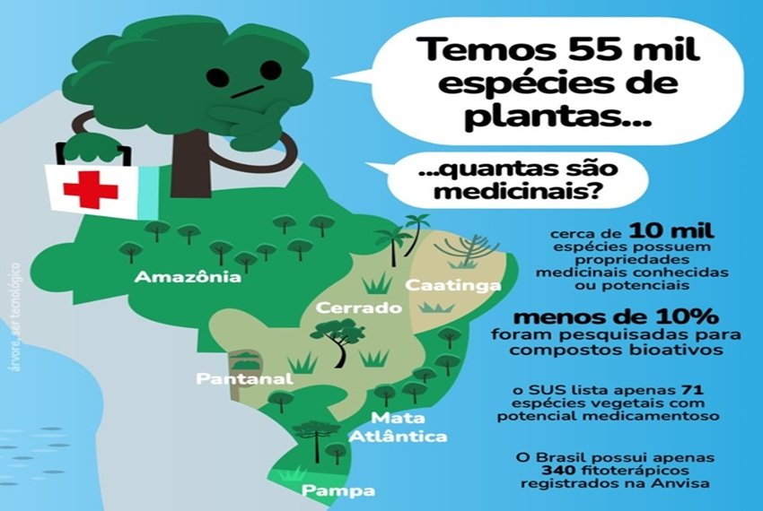 ESPÉCIES DE PLANTAS