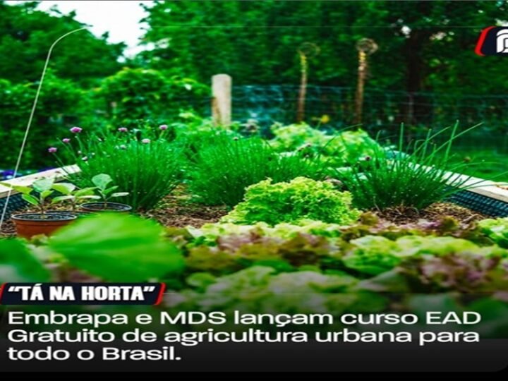 ð± CURSO GRATUITO