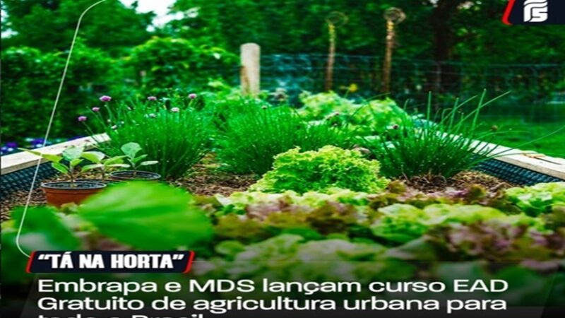ð± CURSO GRATUITO