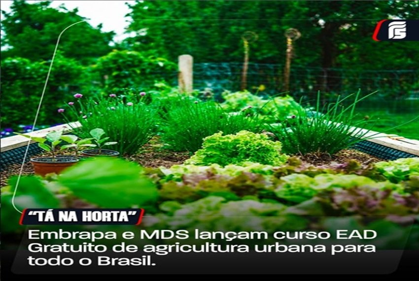 ð± CURSO GRATUITO